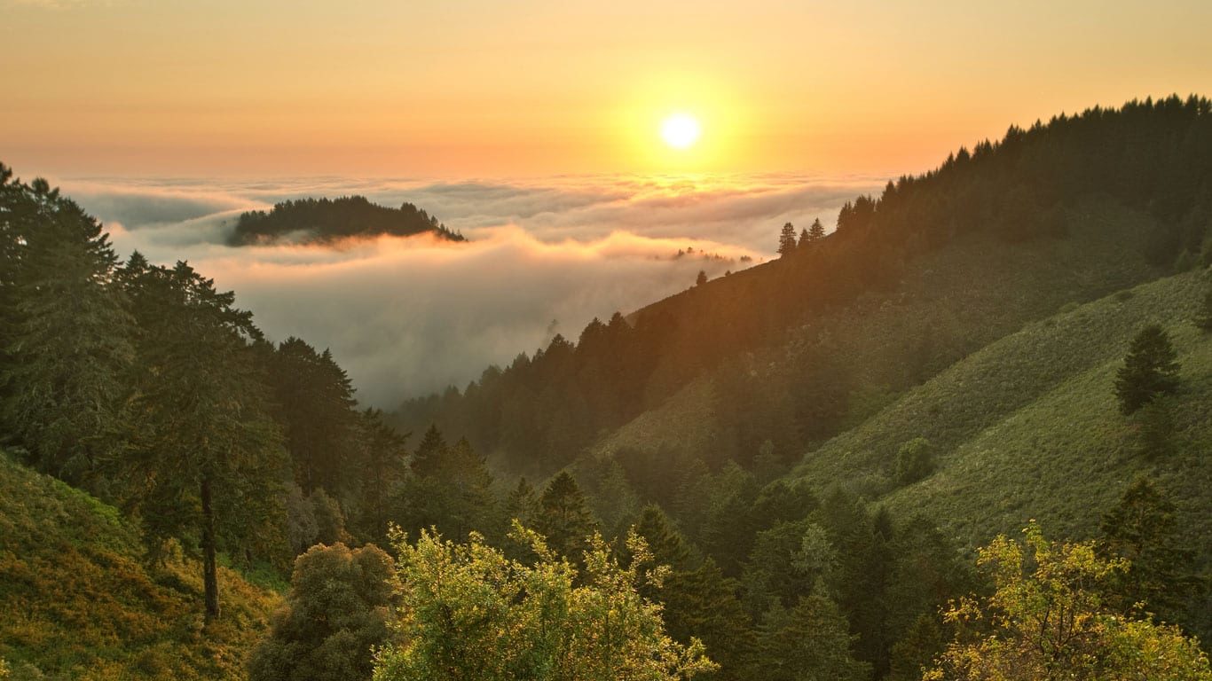 Center for Spiritual Living sunset with fog